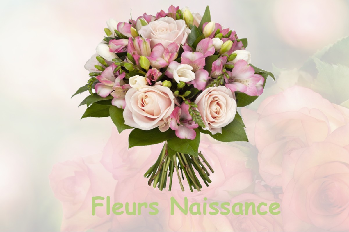 fleurs naissance VEYSSILIEU