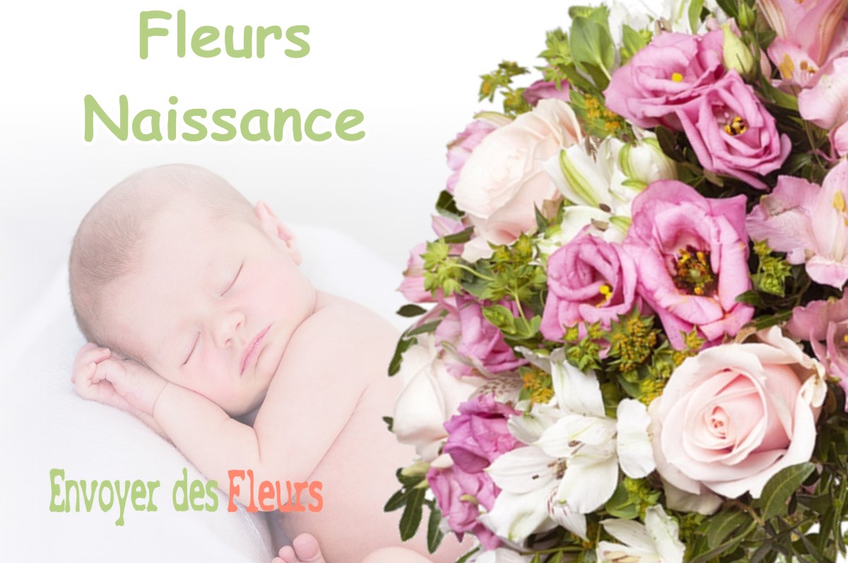 lIVRAISON FLEURS NAISSANCE à VEYSSILIEU