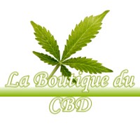 LA BOUTIQUE DU CBD VEYSSILIEU 